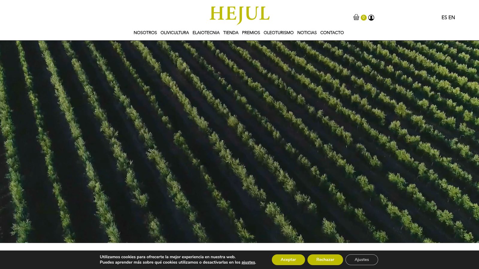 Captura de la web HEJUL