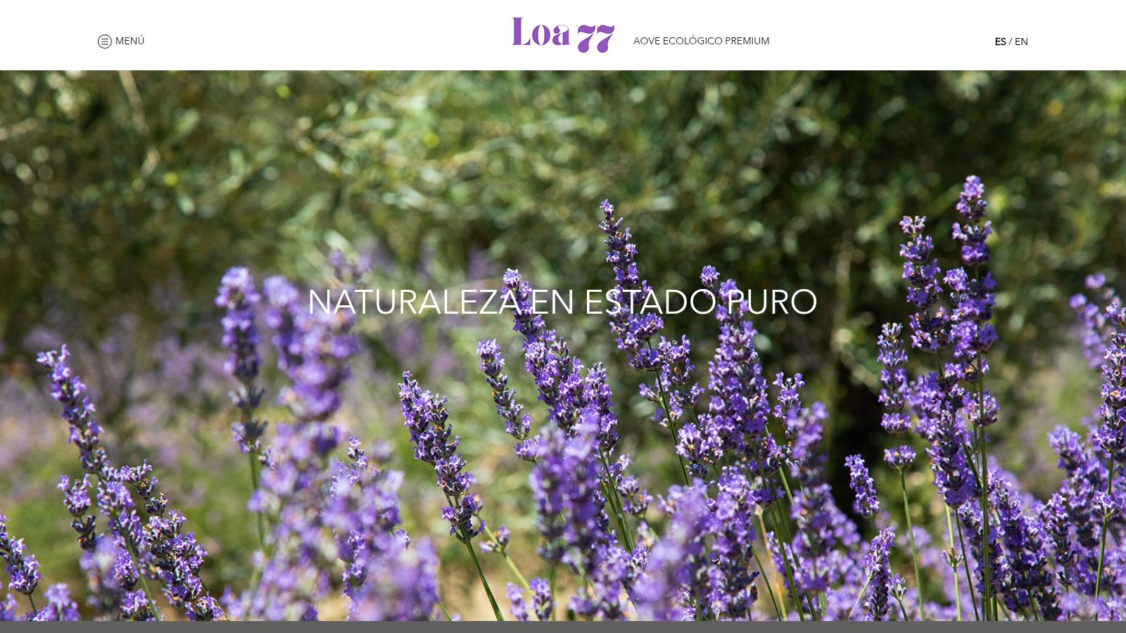 Captura de la web Loa 77